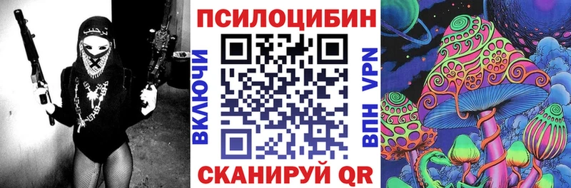 как найти мега рабочий сайт Псилоцибиновые грибы MAGIC MUSHROOMS Гурьевск